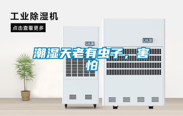 潮濕天老有蟲子，害怕