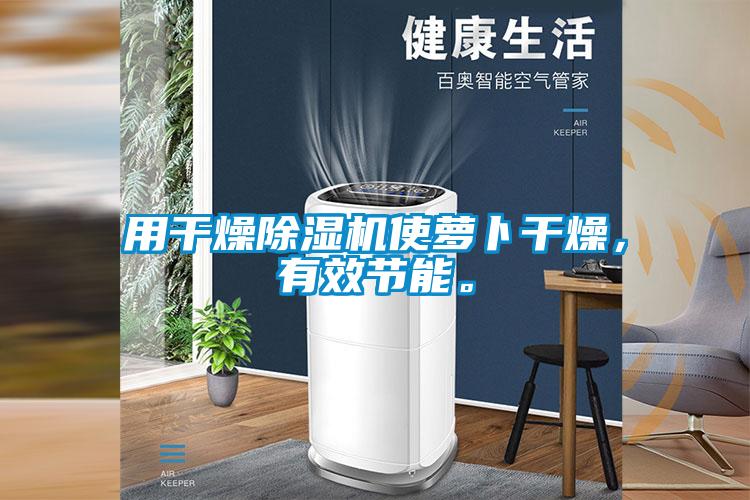 用干燥除濕機使蘿卜干燥，有效節(jié)能。
