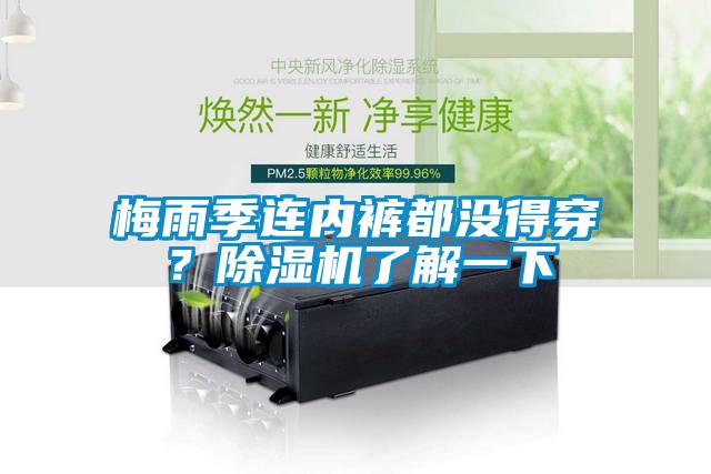 梅雨季連內(nèi)褲都沒得穿？除濕機(jī)了解一下