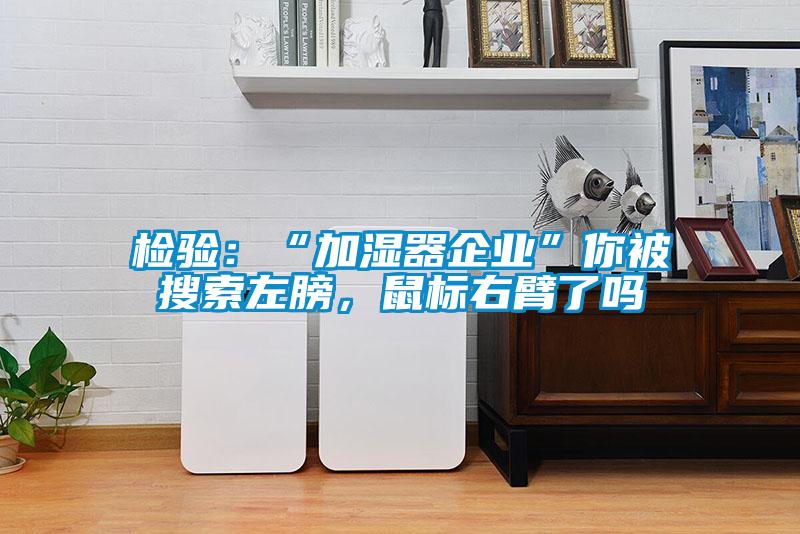 檢驗：“加濕器企業(yè)”你被搜索左膀，鼠標(biāo)右臂了嗎