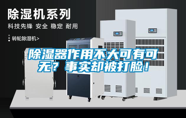除濕器作用不大可有可無？事實(shí)卻被打臉！