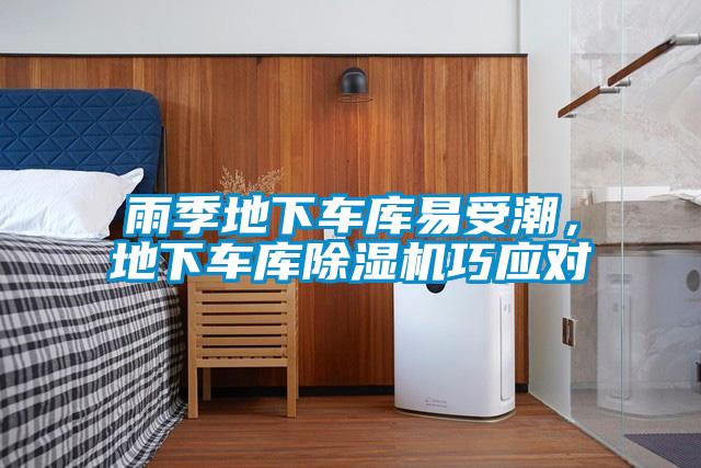 雨季地下車庫(kù)易受潮，地下車庫(kù)除濕機(jī)巧應(yīng)對(duì)