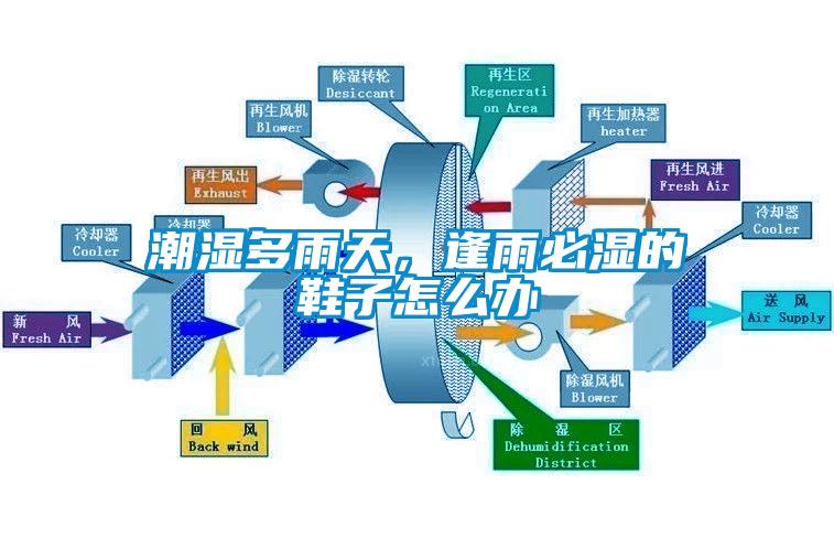 潮濕多雨天，逢雨必濕的鞋子怎么辦