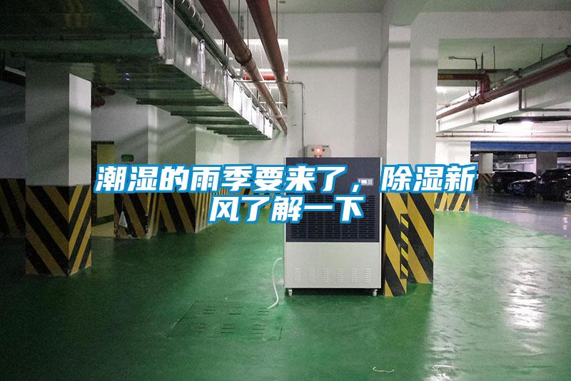 潮濕的雨季要來了，除濕新風了解一下