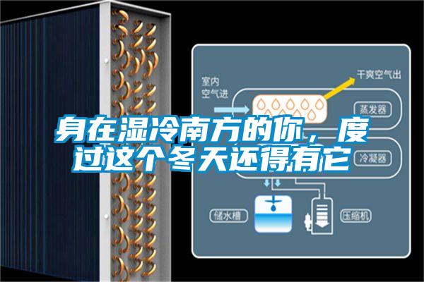 身在濕冷南方的你，度過(guò)這個(gè)冬天還得有它