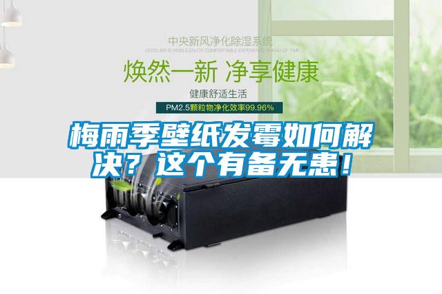 梅雨季壁紙發(fā)霉如何解決？這個有備無患！