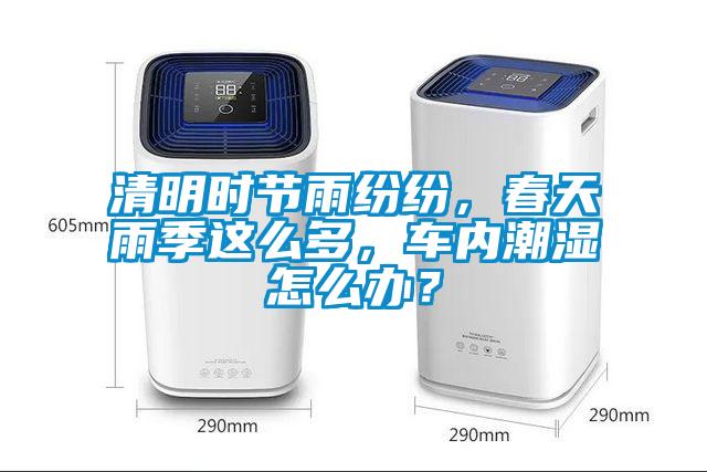 清明時節(jié)雨紛紛，春天雨季這么多，車內潮濕怎么辦？