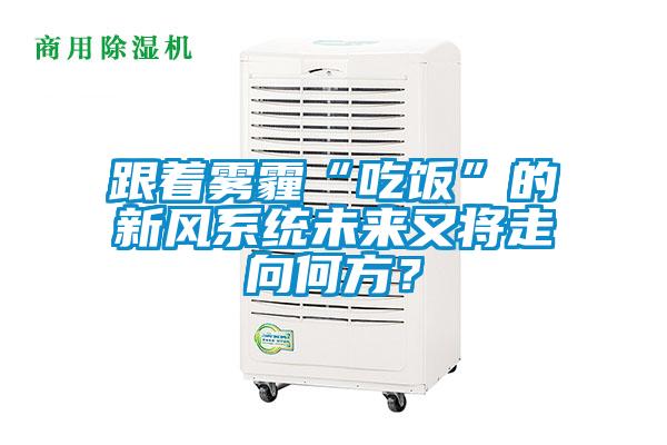 跟著霧霾“吃飯”的新風系統(tǒng)未來又將走向何方？