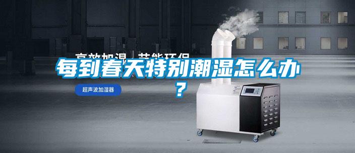 每到春天特別潮濕怎么辦？