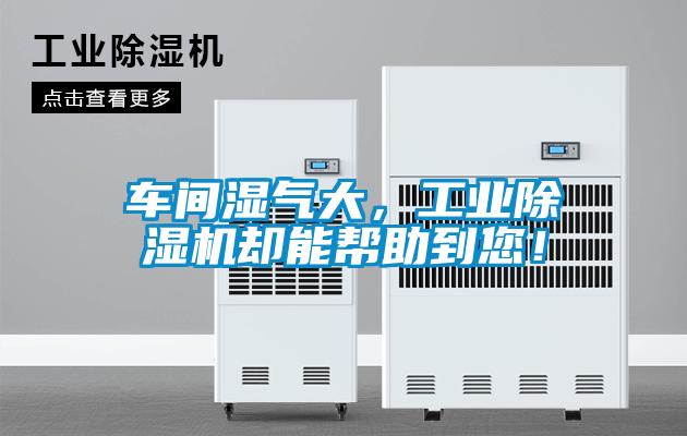 車間濕氣大，工業(yè)除濕機(jī)卻能幫助到您！
