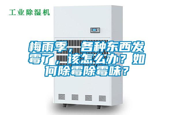 梅雨季，各種東西發(fā)霉了，該怎么辦？如何除霉除霉味？