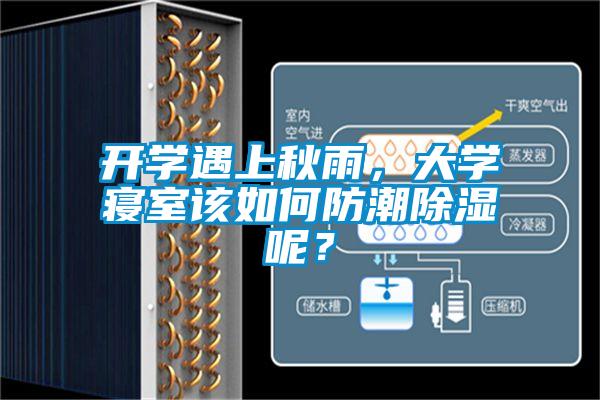 開學(xué)遇上秋雨，大學(xué)寢室該如何防潮除濕呢？