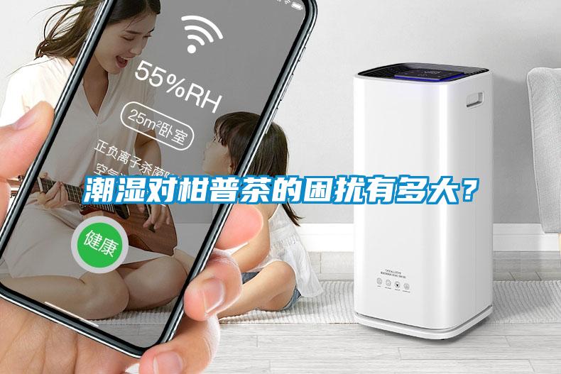 潮濕對(duì)柑普茶的困擾有多大？