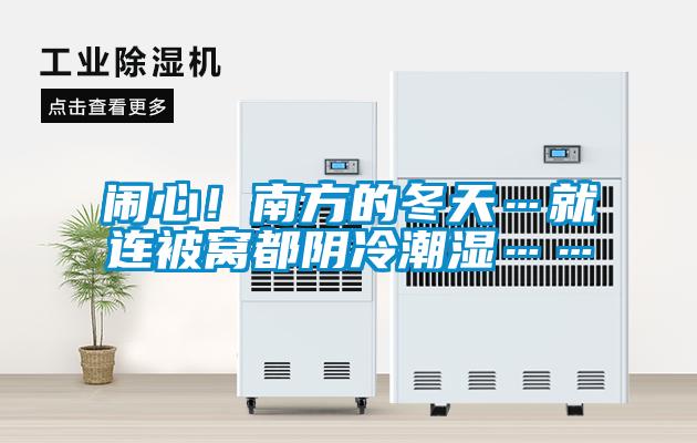 鬧心！南方的冬天…就連被窩都陰冷潮濕……