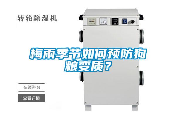 梅雨季節(jié)如何預防狗糧變質？