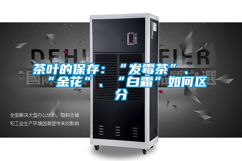 茶葉的保存：“發(fā)霉茶”、“金花”、“白霜”如何區(qū)分