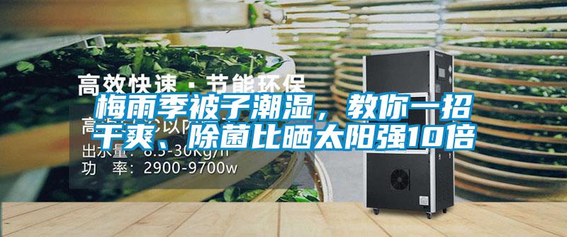 梅雨季被子潮濕，教你一招干爽、除菌比曬太陽強(qiáng)10倍