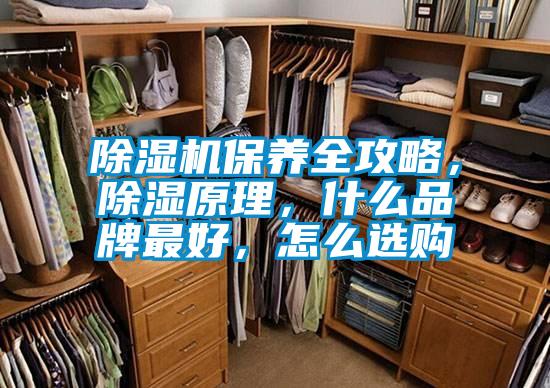 除濕機(jī)保養(yǎng)全攻略，除濕原理，什么品牌最好，怎么選購(gòu)