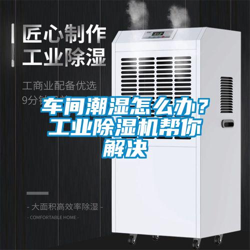 車間潮濕怎么辦？工業(yè)除濕機(jī)幫你解決