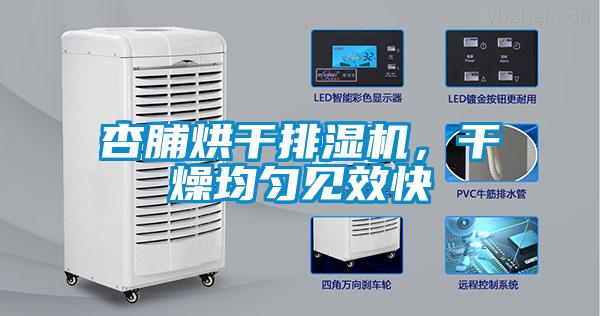 杏脯烘干排濕機，干燥均勻見效快