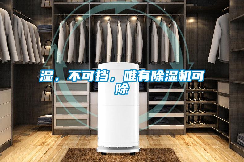 濕，不可擋，唯有除濕機可除