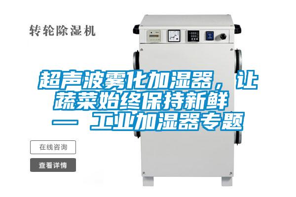超聲波霧化加濕器，讓蔬菜始終保持新鮮 — 工業(yè)加濕器專題