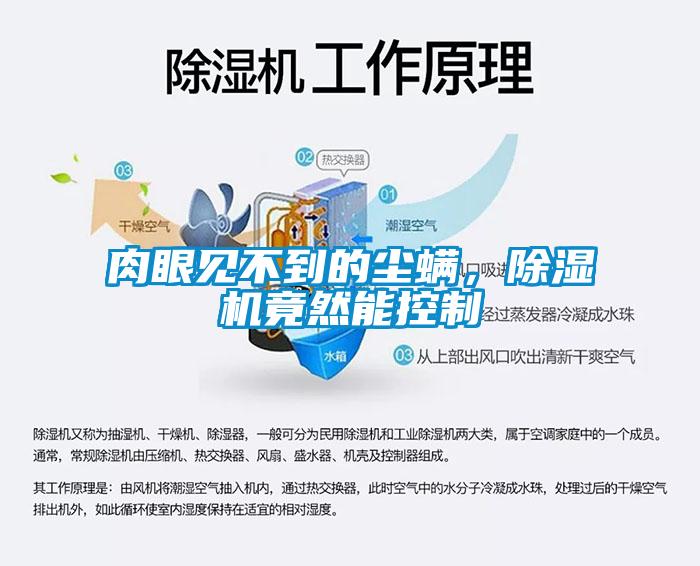 肉眼見(jiàn)不到的塵螨，除濕機(jī)竟然能控制