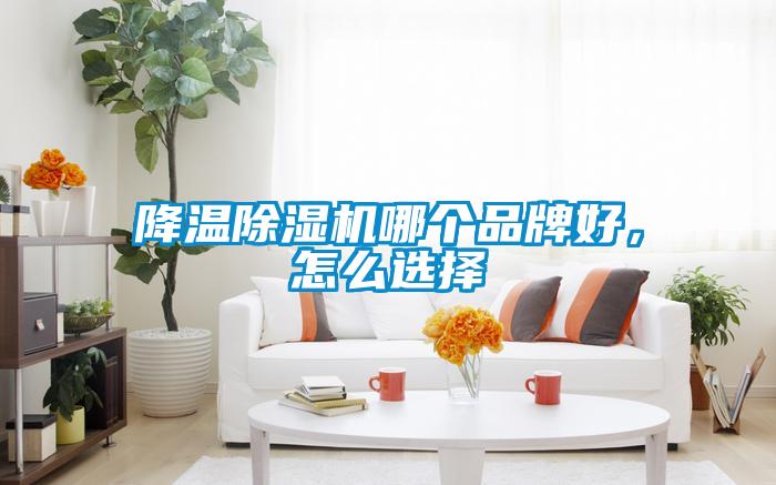 降溫除濕機哪個品牌好，怎么選擇