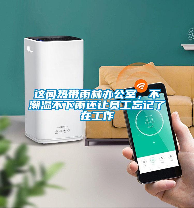 這間熱帶雨林辦公室，不潮濕不下雨還讓員工忘記了在工作