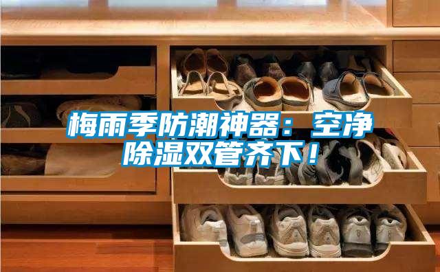 梅雨季防潮神器：空凈除濕雙管齊下！