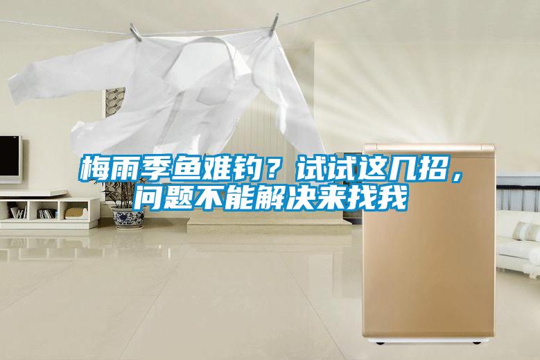 梅雨季魚難釣？試試這幾招，問(wèn)題不能解決來(lái)找我