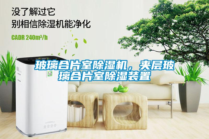 玻璃合片室除濕機(jī)，夾層玻璃合片室除濕裝置