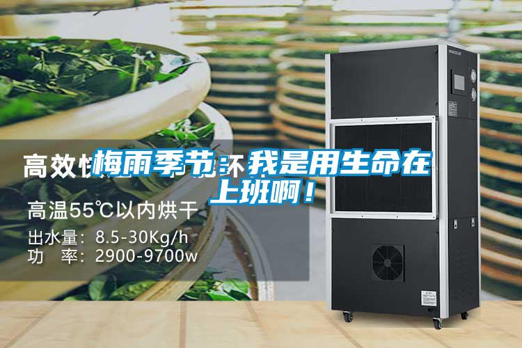 梅雨季節(jié)：我是用生命在上班啊！