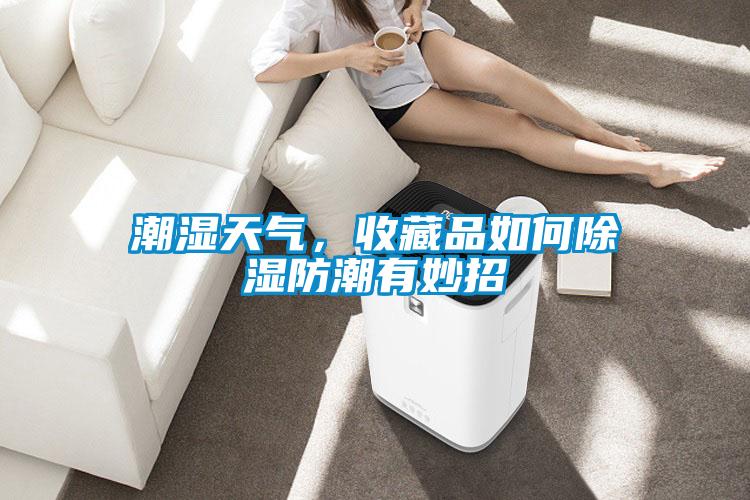 潮濕天氣，收藏品如何除濕防潮有妙招