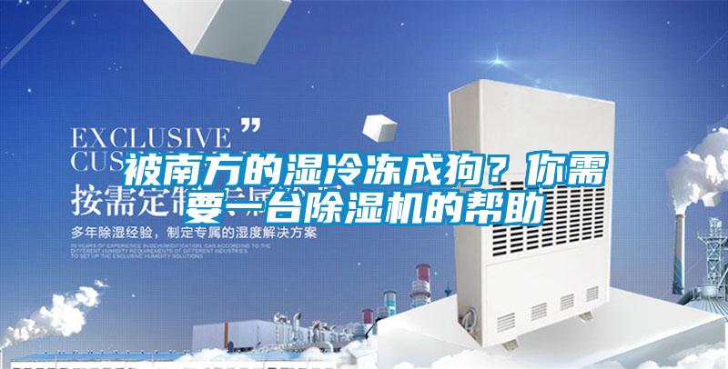 被南方的濕冷凍成狗？你需要一臺除濕機的幫助