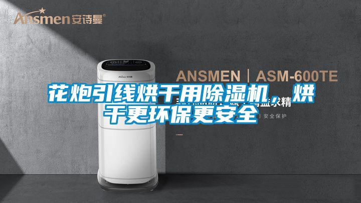 花炮引線烘干用除濕機，烘干更環(huán)保更安全