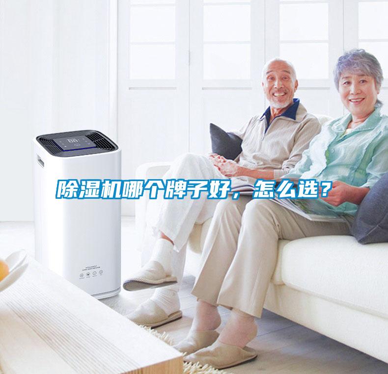 除濕機(jī)哪個牌子好，怎么選？
