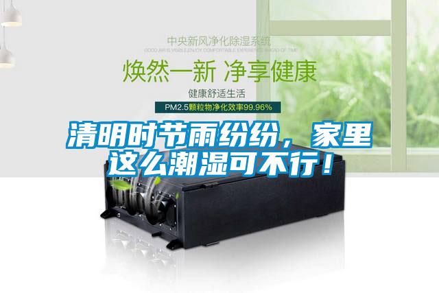 清明時(shí)節(jié)雨紛紛，家里這么潮濕可不行！