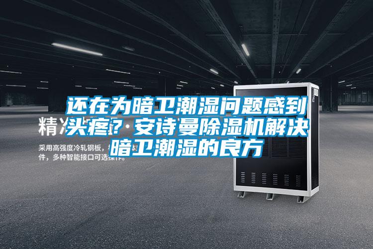還在為暗衛(wèi)潮濕問題感到頭疼？安詩曼除濕機解決暗衛(wèi)潮濕的良方