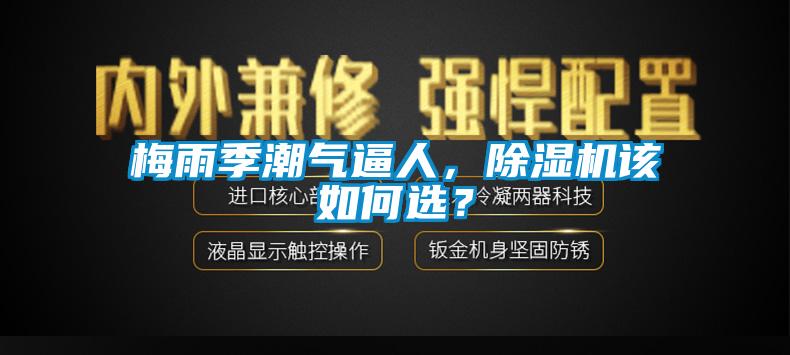 梅雨季潮氣逼人，除濕機(jī)該如何選？