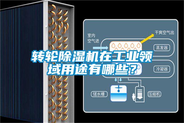 轉(zhuǎn)輪除濕機在工業(yè)領(lǐng)域用途有哪些？