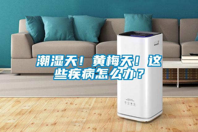 潮濕天！黃梅天！這些疾病怎么辦？