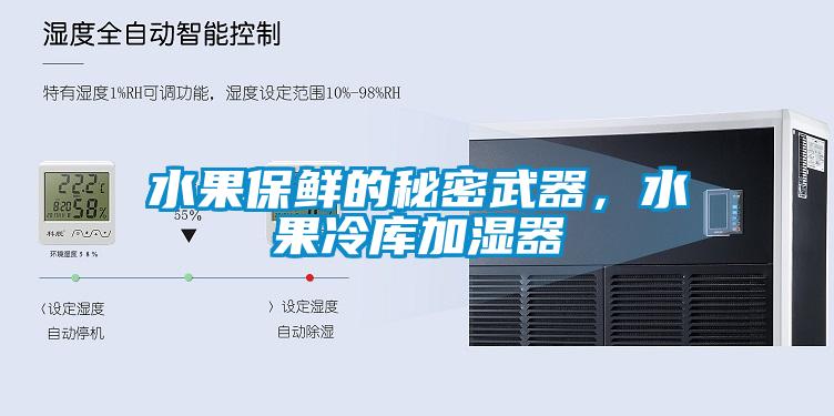 水果保鮮的秘密武器，水果冷庫加濕器