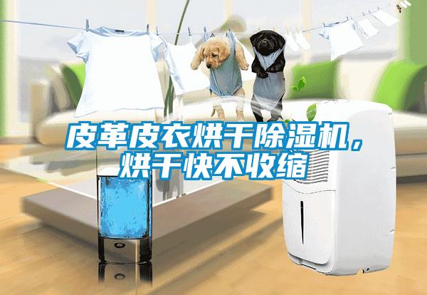 皮革皮衣烘干除濕機(jī)，烘干快不收縮