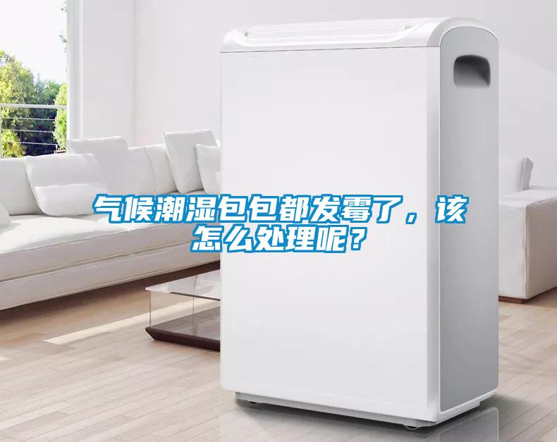 氣候潮濕包包都發(fā)霉了，該怎么處理呢？