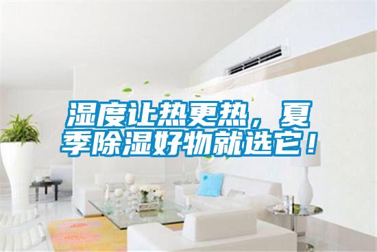 濕度讓熱更熱，夏季除濕好物就選它！