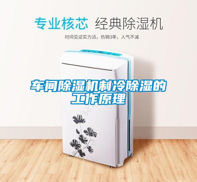 車(chē)間除濕機(jī)制冷除濕的工作原理