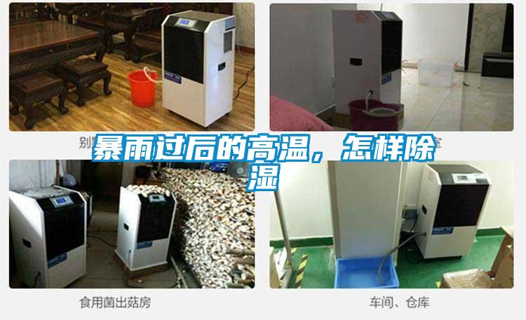 暴雨過(guò)后的高溫，怎樣除濕