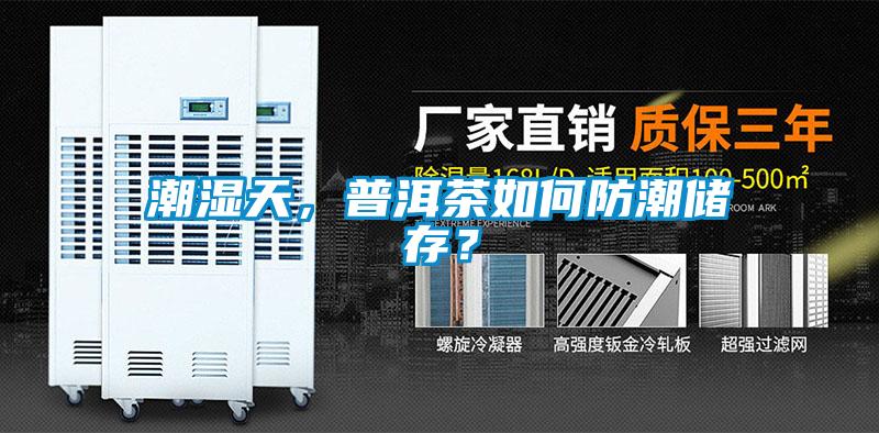 潮濕天，普洱茶如何防潮儲存？