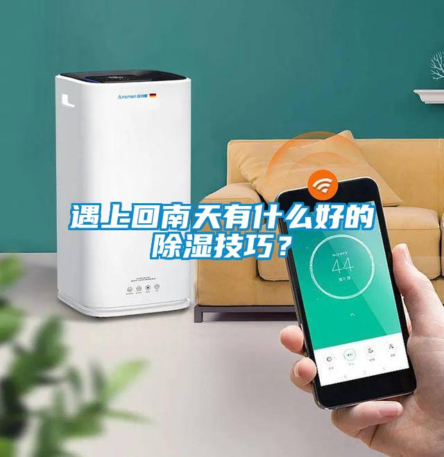 遇上回南天有什么好的除濕技巧？